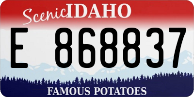 ID license plate E868837
