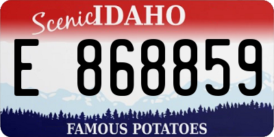 ID license plate E868859