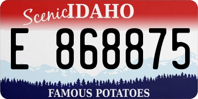 ID license plate E868875