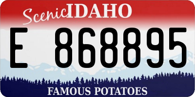 ID license plate E868895