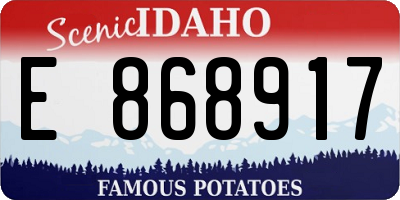 ID license plate E868917