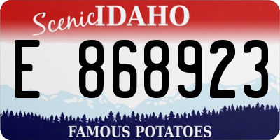 ID license plate E868923