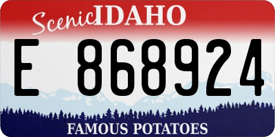 ID license plate E868924