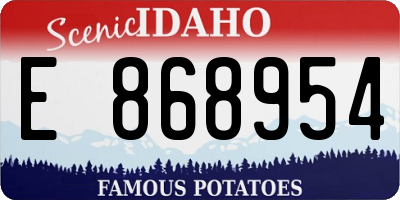 ID license plate E868954