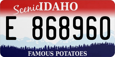 ID license plate E868960