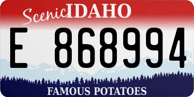 ID license plate E868994