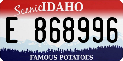 ID license plate E868996
