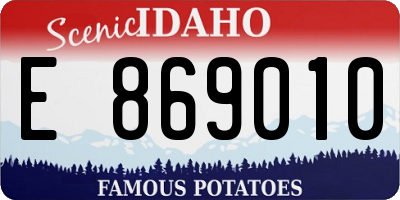 ID license plate E869010