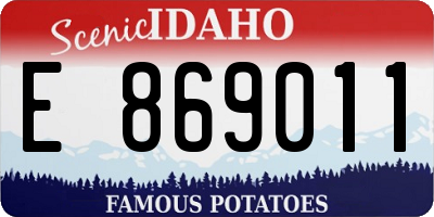 ID license plate E869011