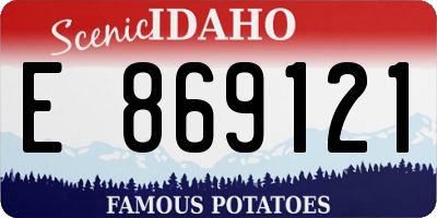 ID license plate E869121
