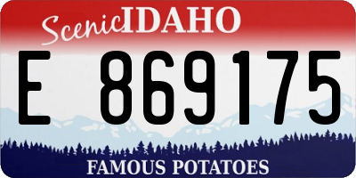 ID license plate E869175