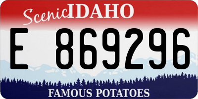 ID license plate E869296
