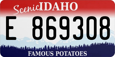 ID license plate E869308