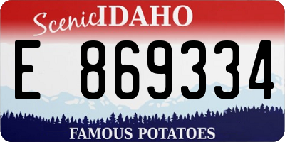 ID license plate E869334