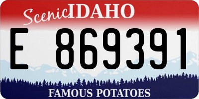 ID license plate E869391