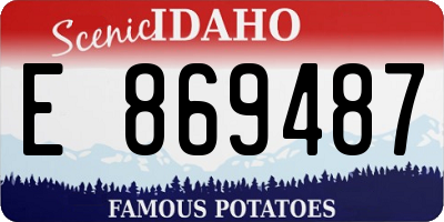 ID license plate E869487