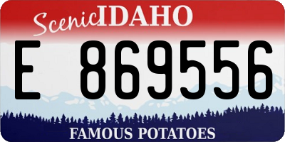 ID license plate E869556