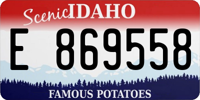 ID license plate E869558