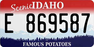 ID license plate E869587