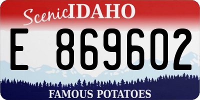 ID license plate E869602