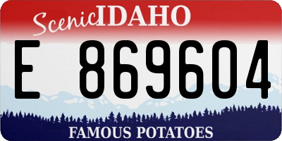 ID license plate E869604