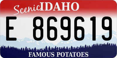 ID license plate E869619