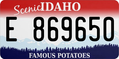 ID license plate E869650