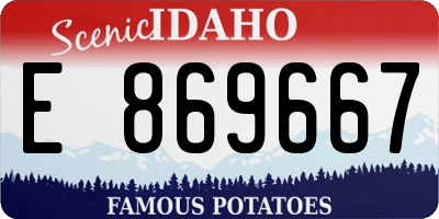 ID license plate E869667