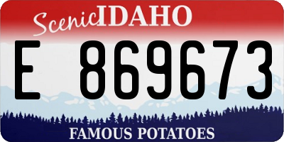 ID license plate E869673