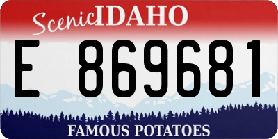 ID license plate E869681