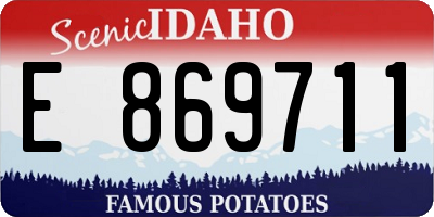 ID license plate E869711