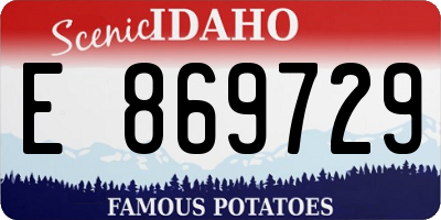 ID license plate E869729