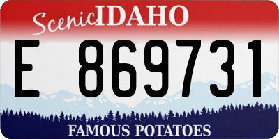 ID license plate E869731