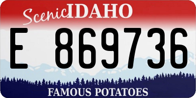 ID license plate E869736