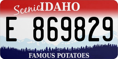 ID license plate E869829