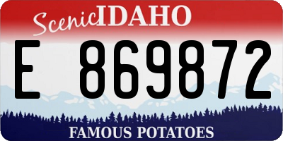 ID license plate E869872