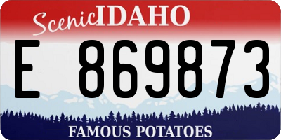 ID license plate E869873