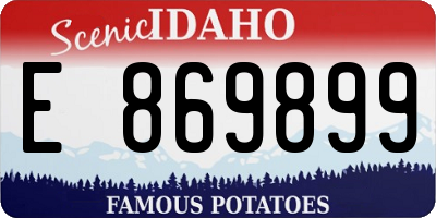 ID license plate E869899
