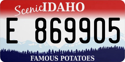 ID license plate E869905