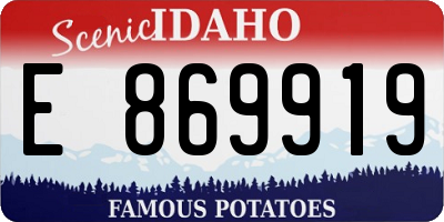 ID license plate E869919