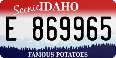 ID license plate E869965