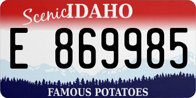 ID license plate E869985