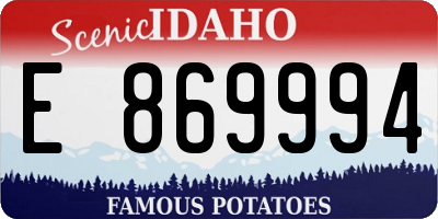 ID license plate E869994