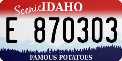 ID license plate E870303
