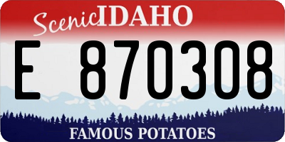 ID license plate E870308