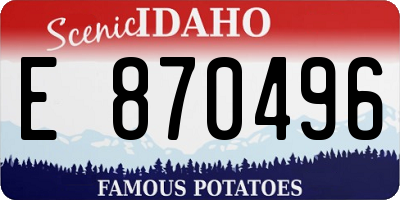 ID license plate E870496