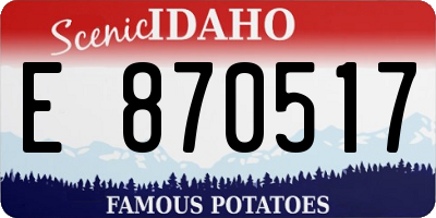 ID license plate E870517