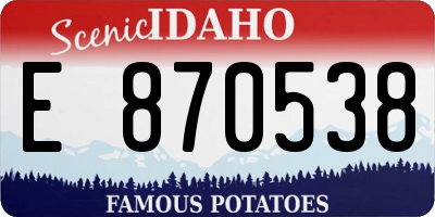 ID license plate E870538