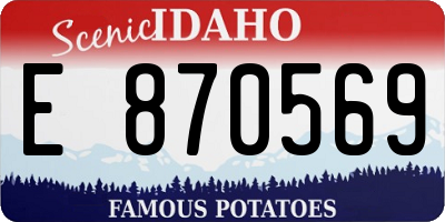 ID license plate E870569