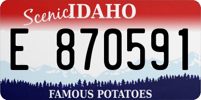 ID license plate E870591